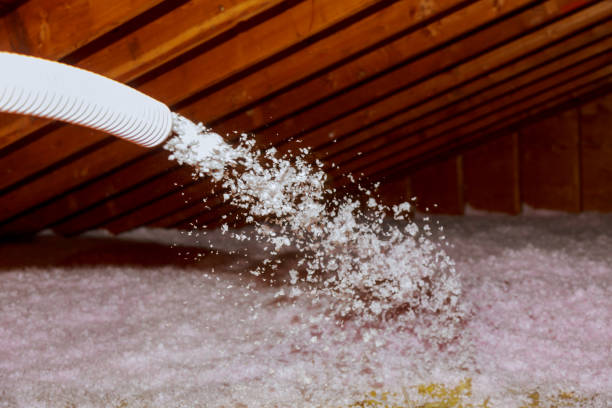 Best Cellulose Insulation in Pompano Beach, FL