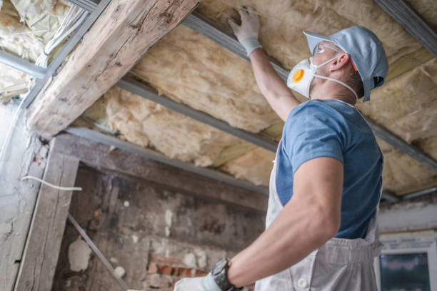Types of Insulation We Offer in Pompano Beach, FL