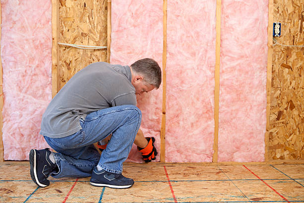 Best Eco-Friendly Insulation in Pompano Beach, FL